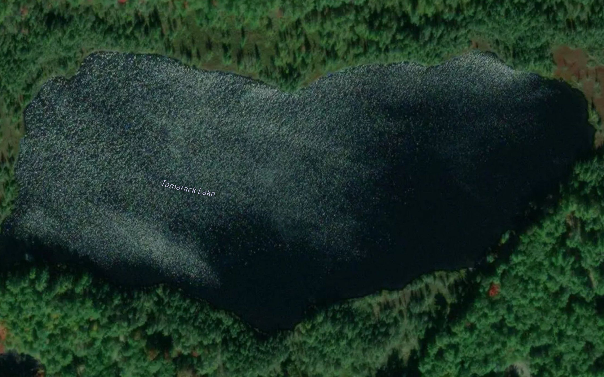 Tamarack Lake