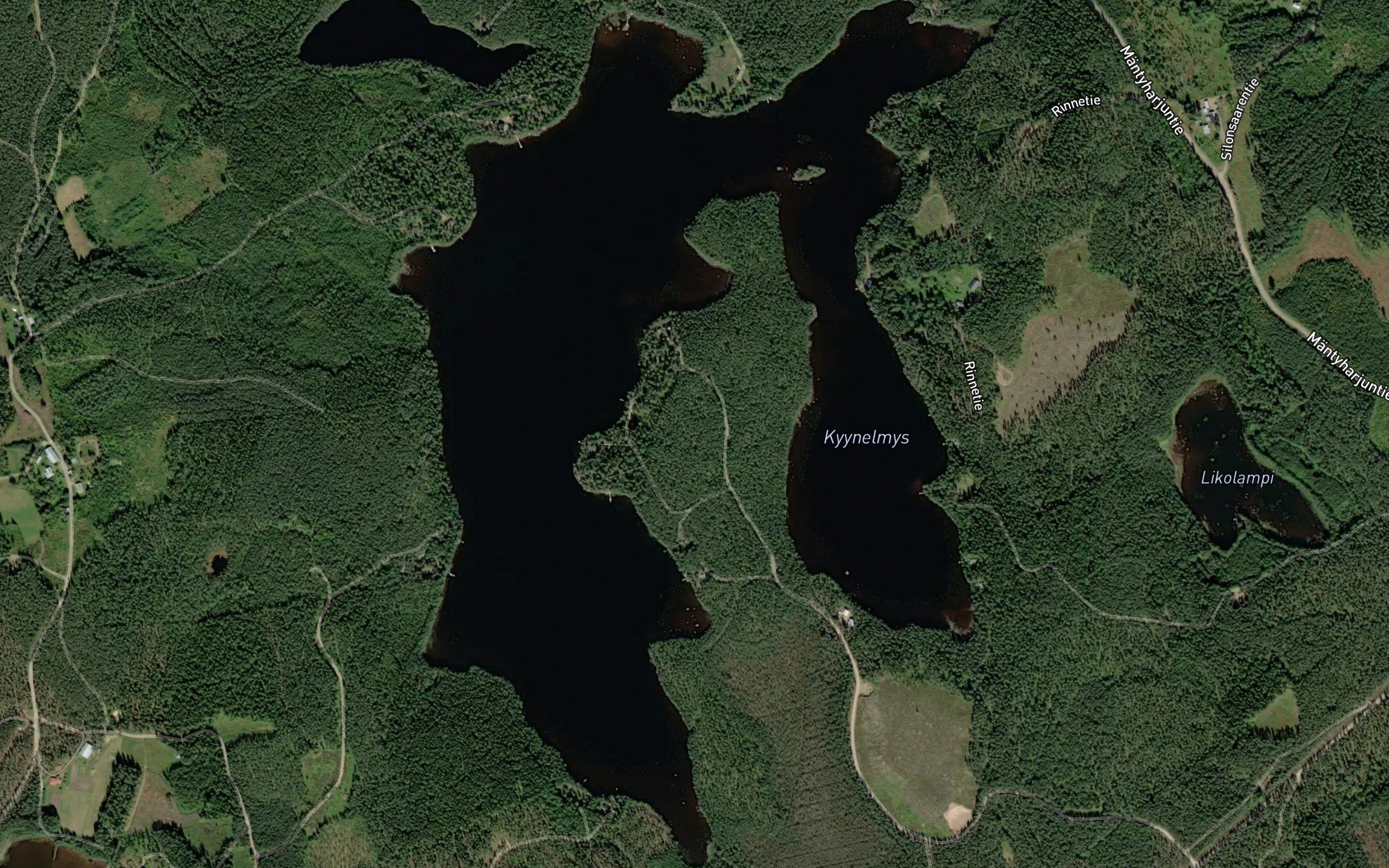 Kyynelmys