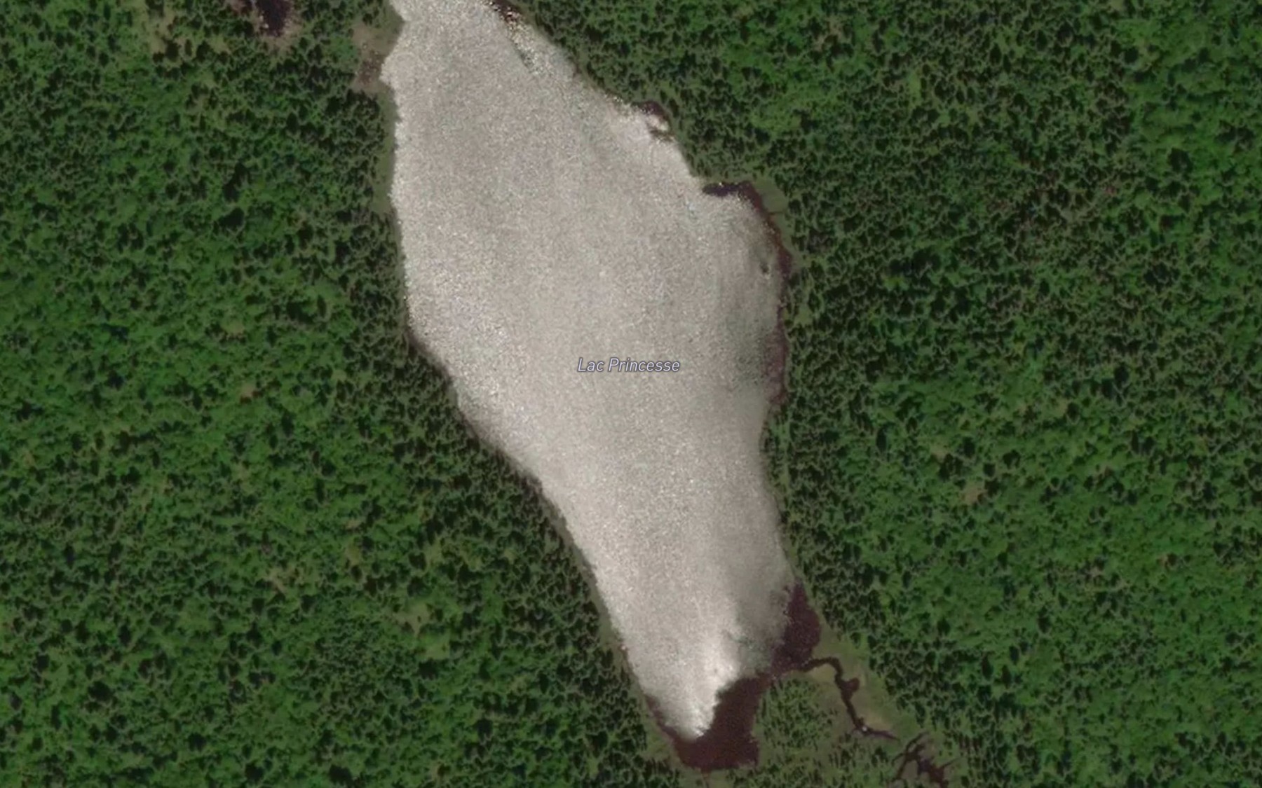 Satellite map of the Lac Princesse