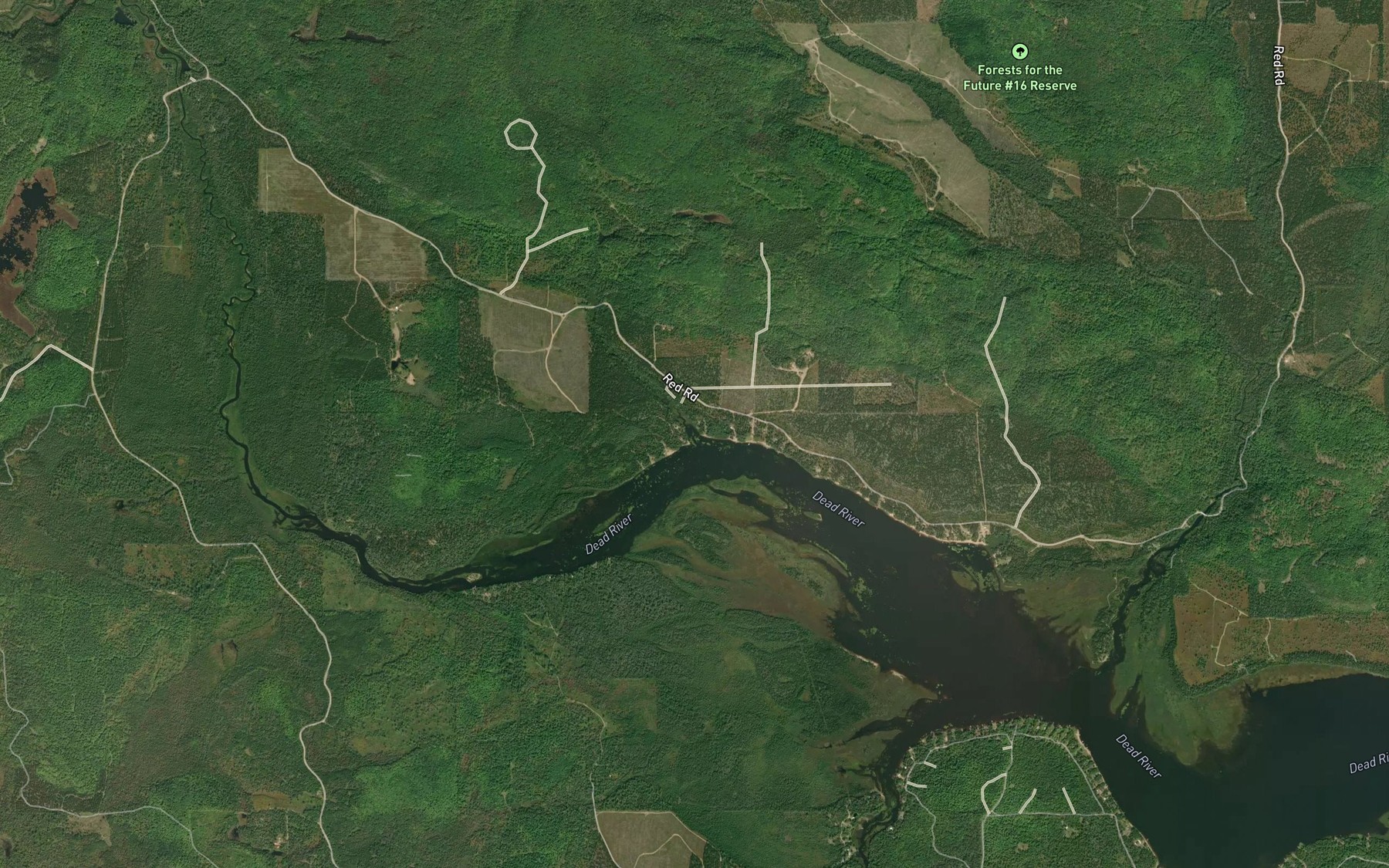 Satellite map of the Silver Creek