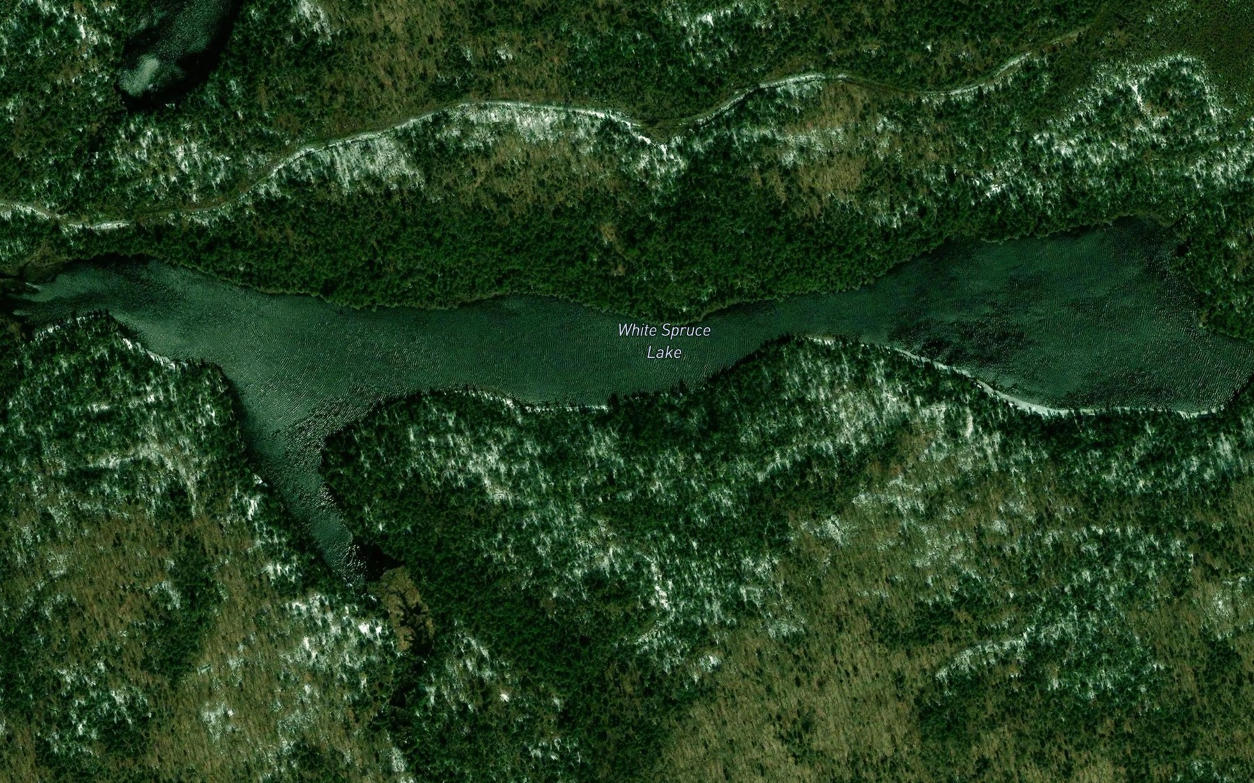 Satellite map of the White Spruce Lake