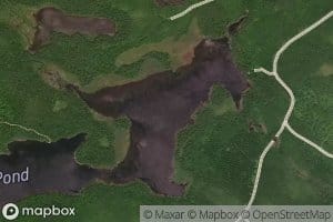 Dam Pond
