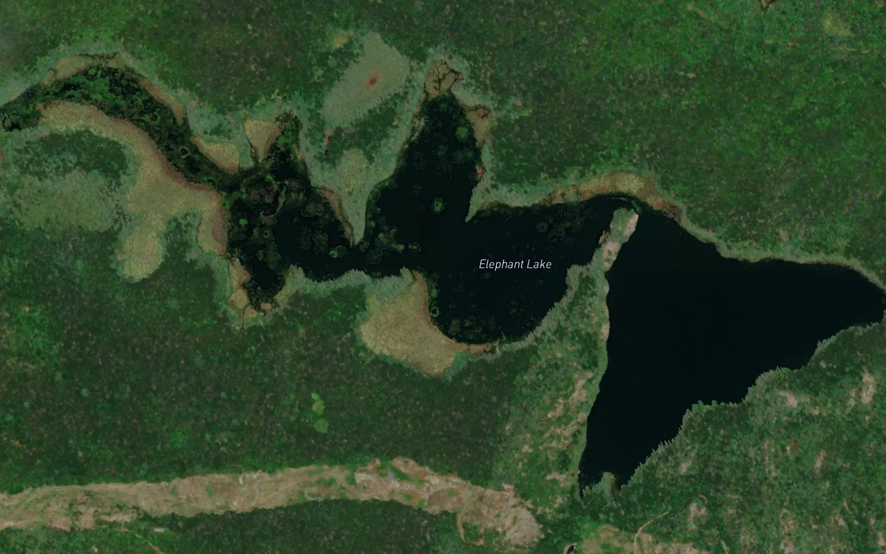 Satellite map of the Elephant Lake