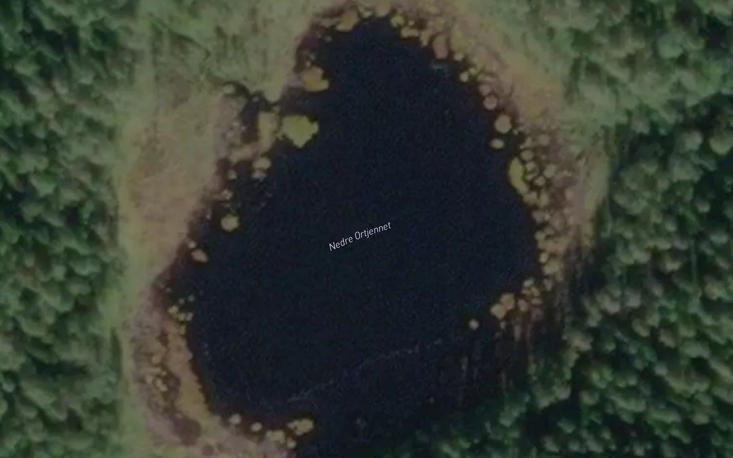 Nedre Ortjernet