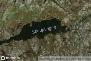 Skaupungen
