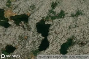 Halvkoitjonna