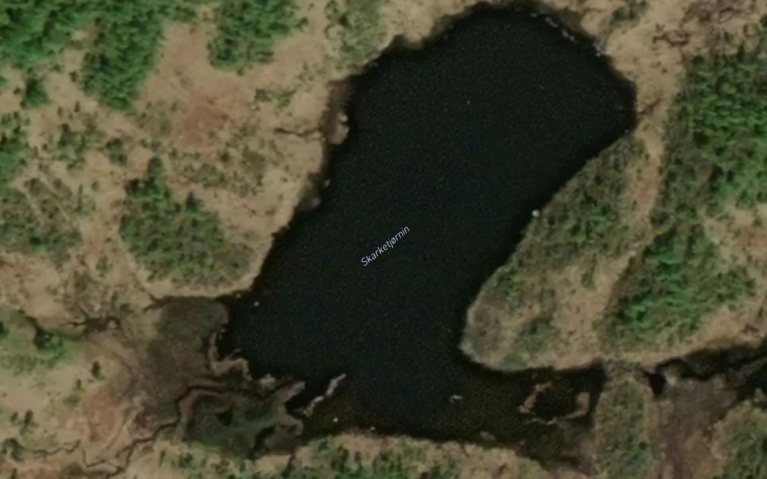 Skarketjonn