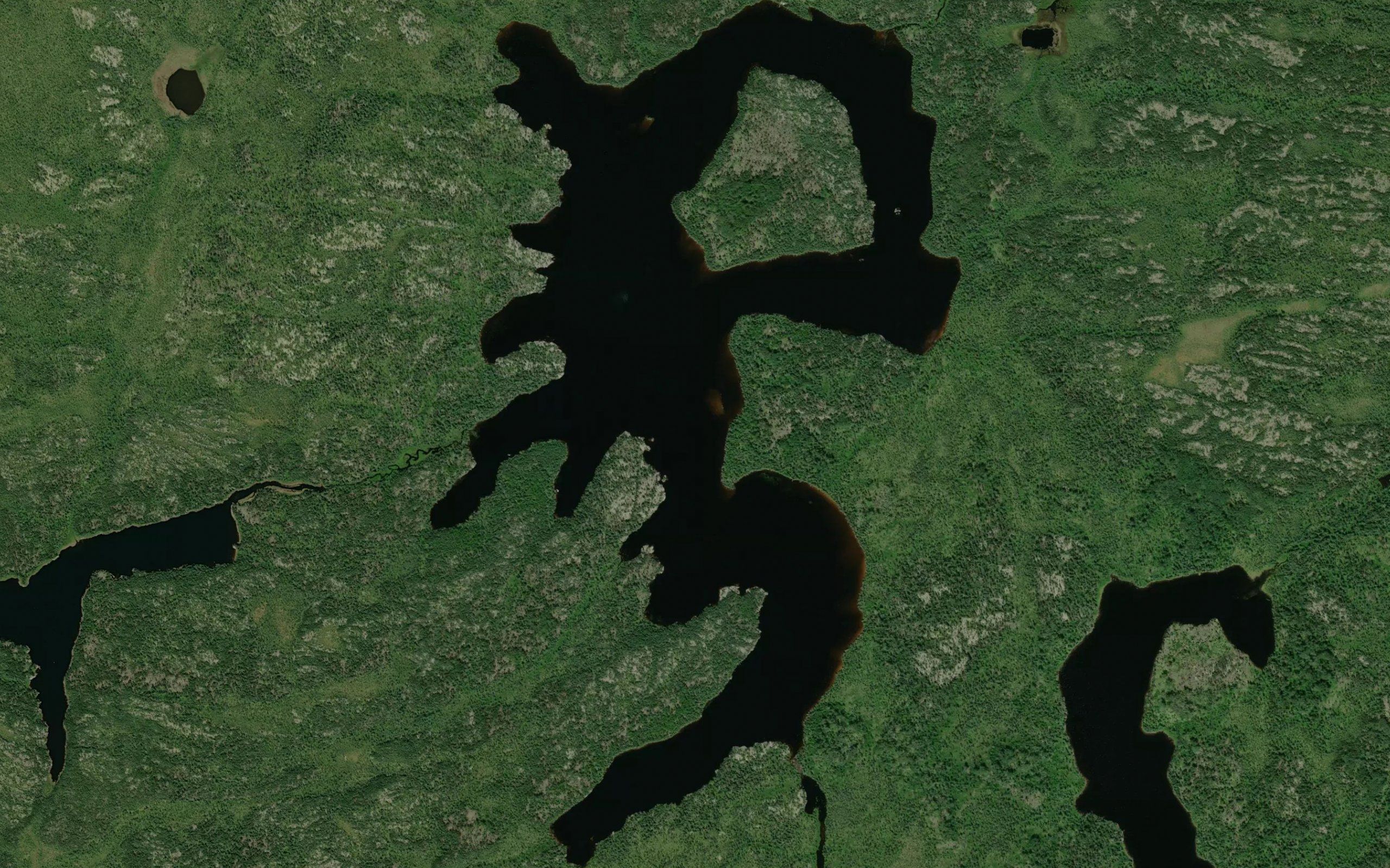 Wayner Lake