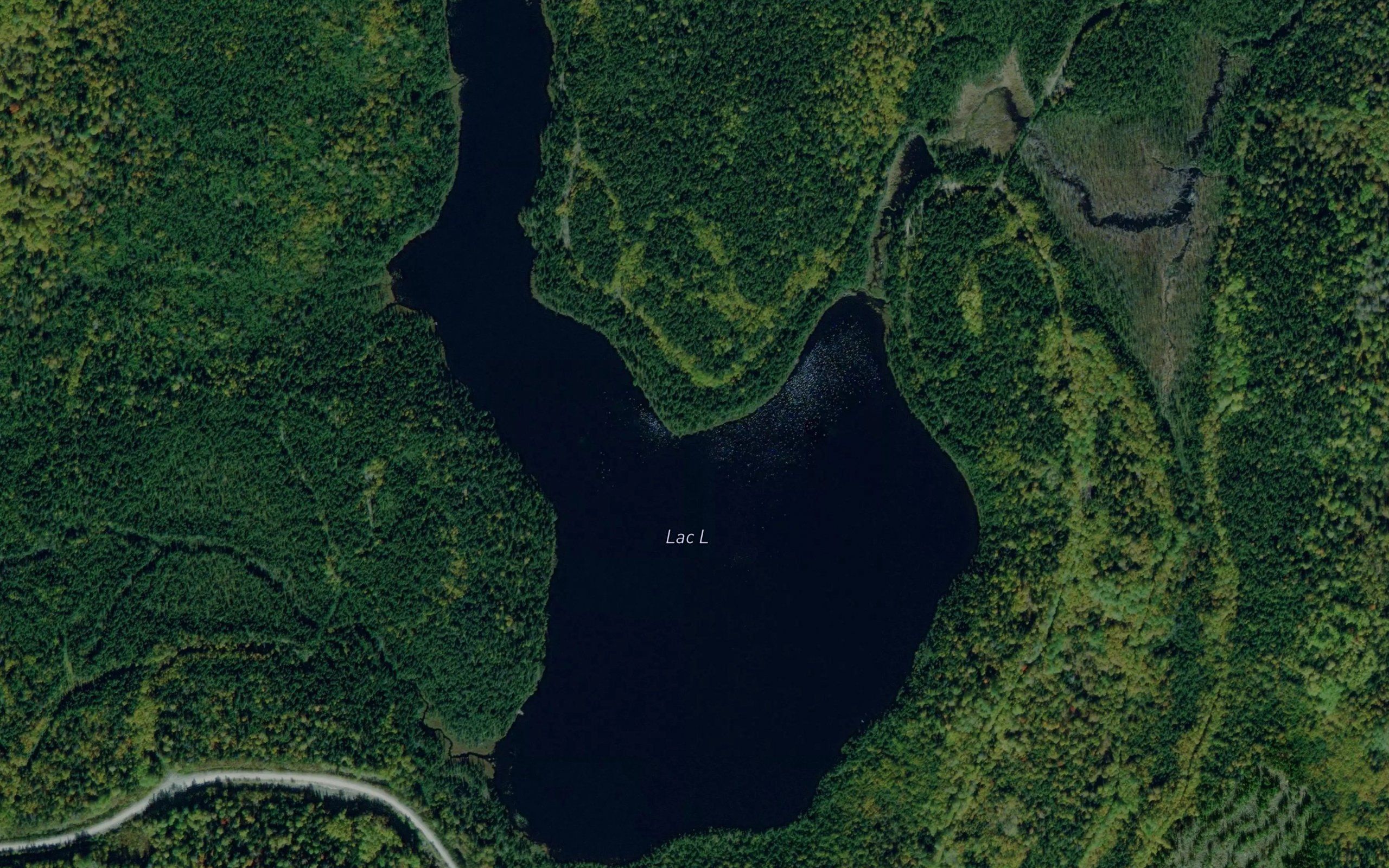 Lac L