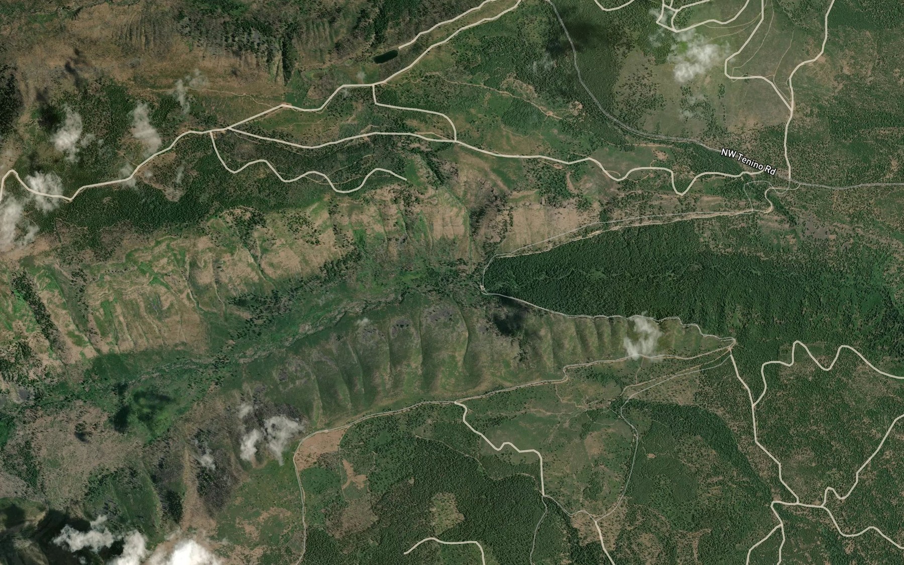 Satellite map of the Lionshead Creek