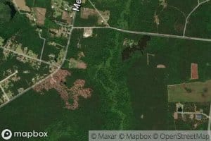 Fox Swamp