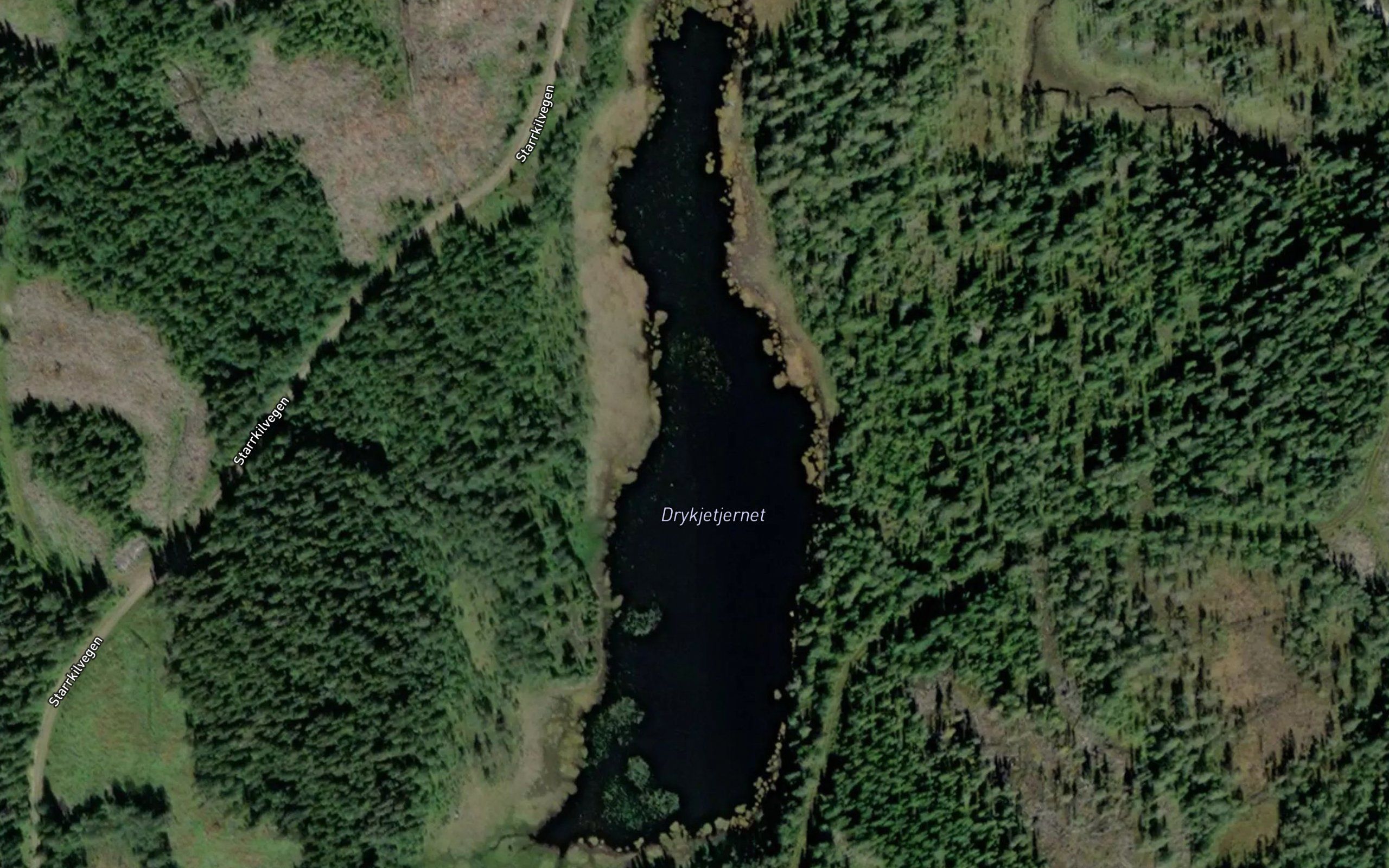 Drykkjetjennet