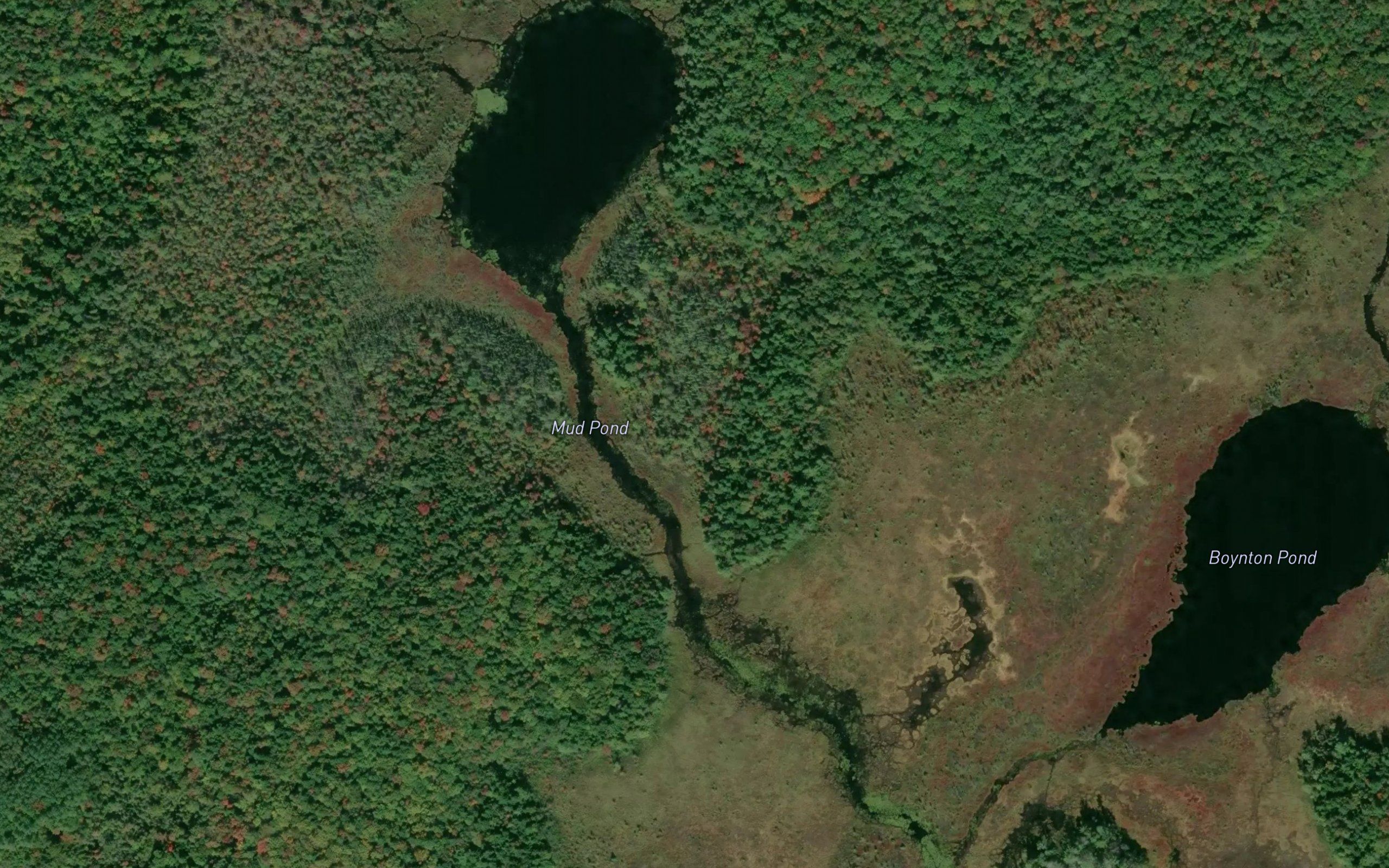 Mud Pond