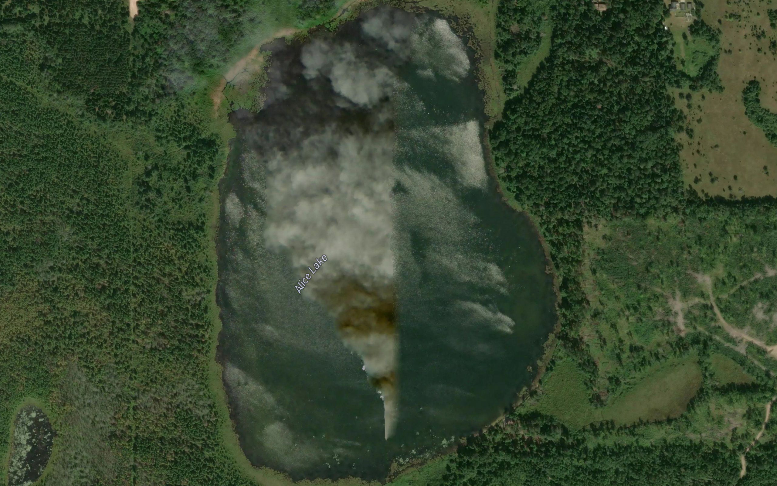 Alice Lake