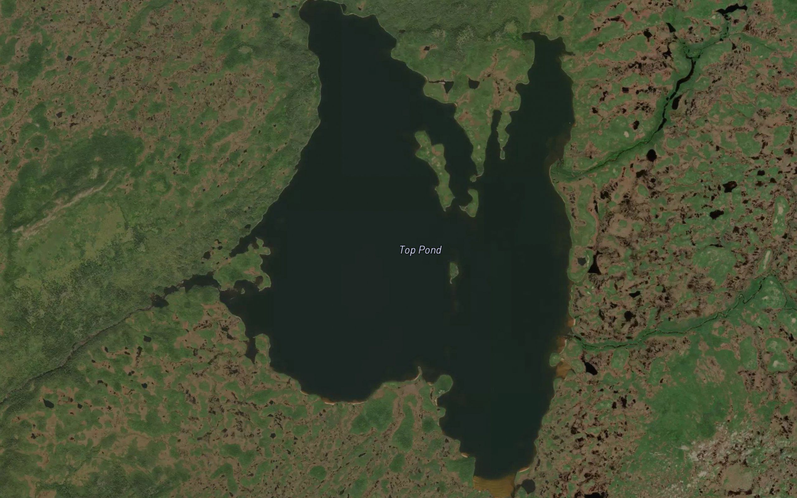 Top Pond