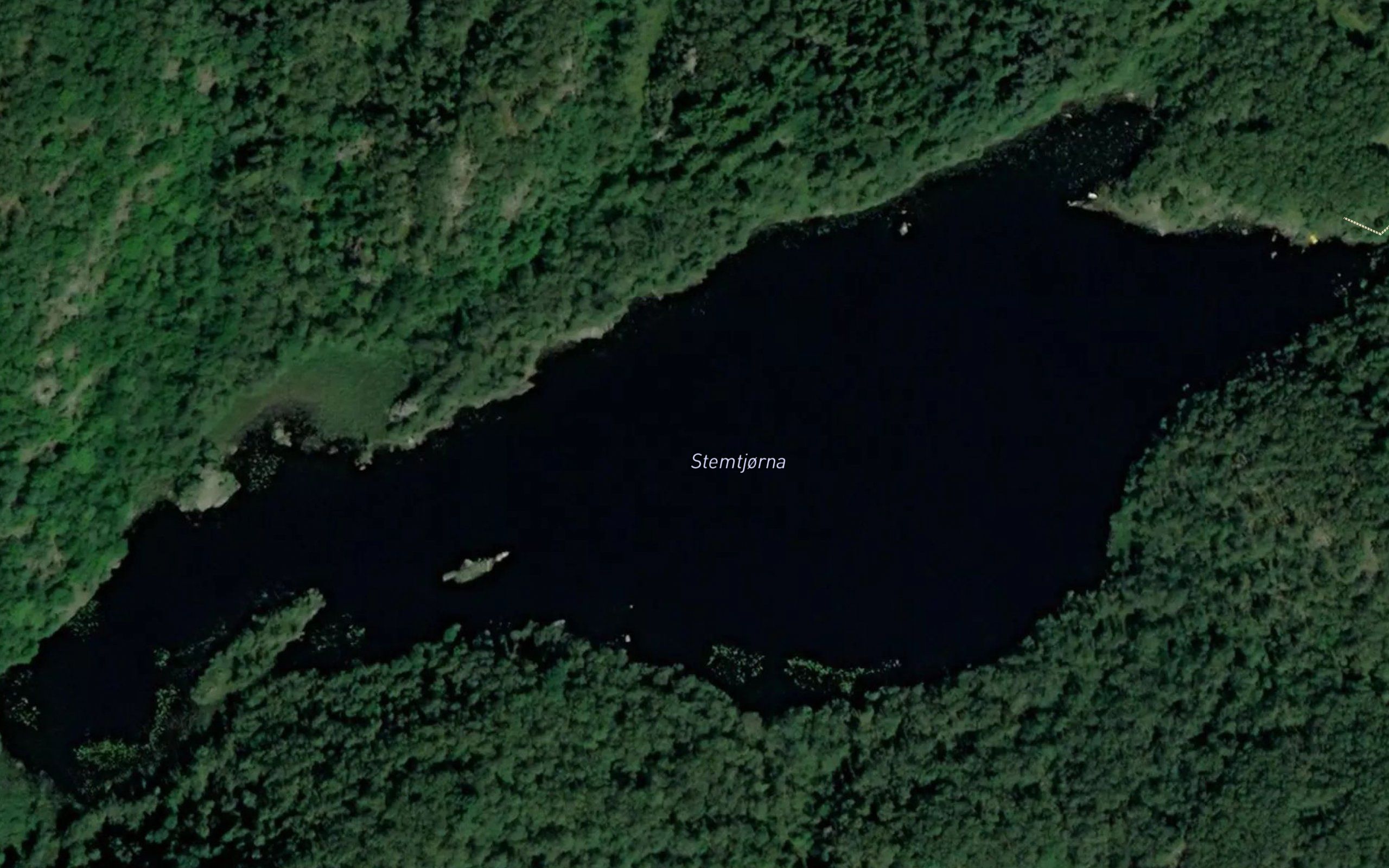 Stemtjorna