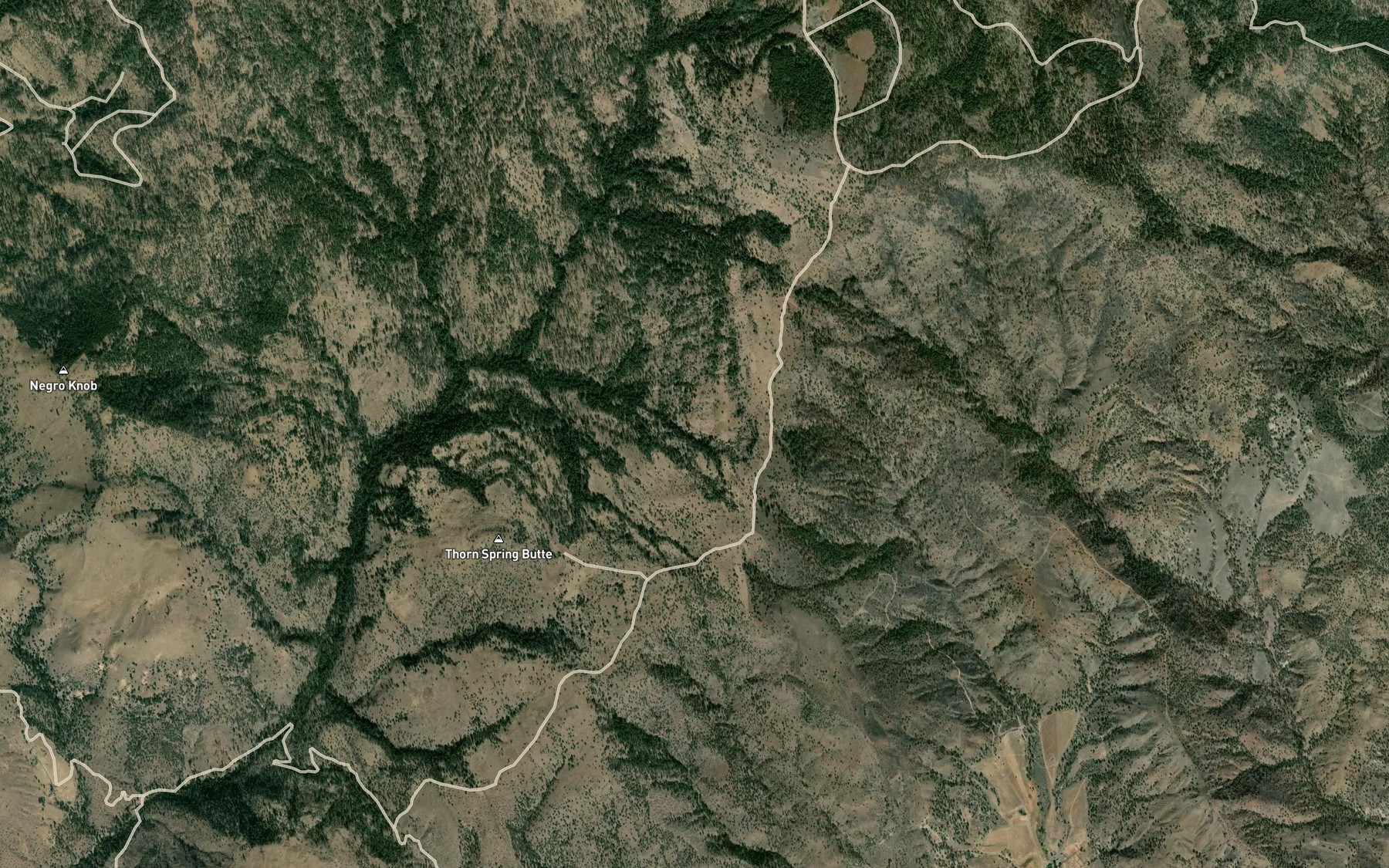 Satellite map of the Tommy Cork Spring