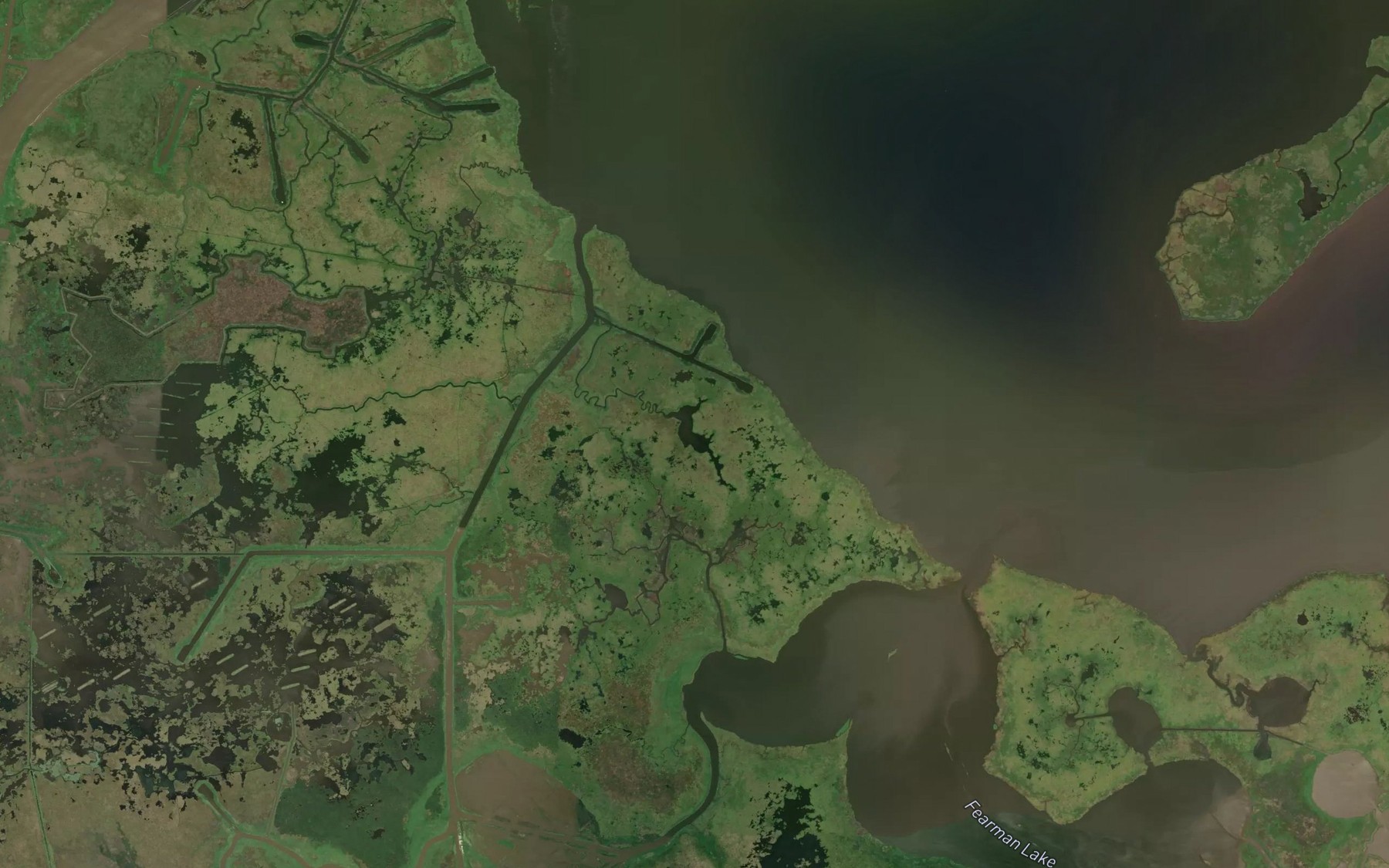 Satellite map of the Coot Lake
