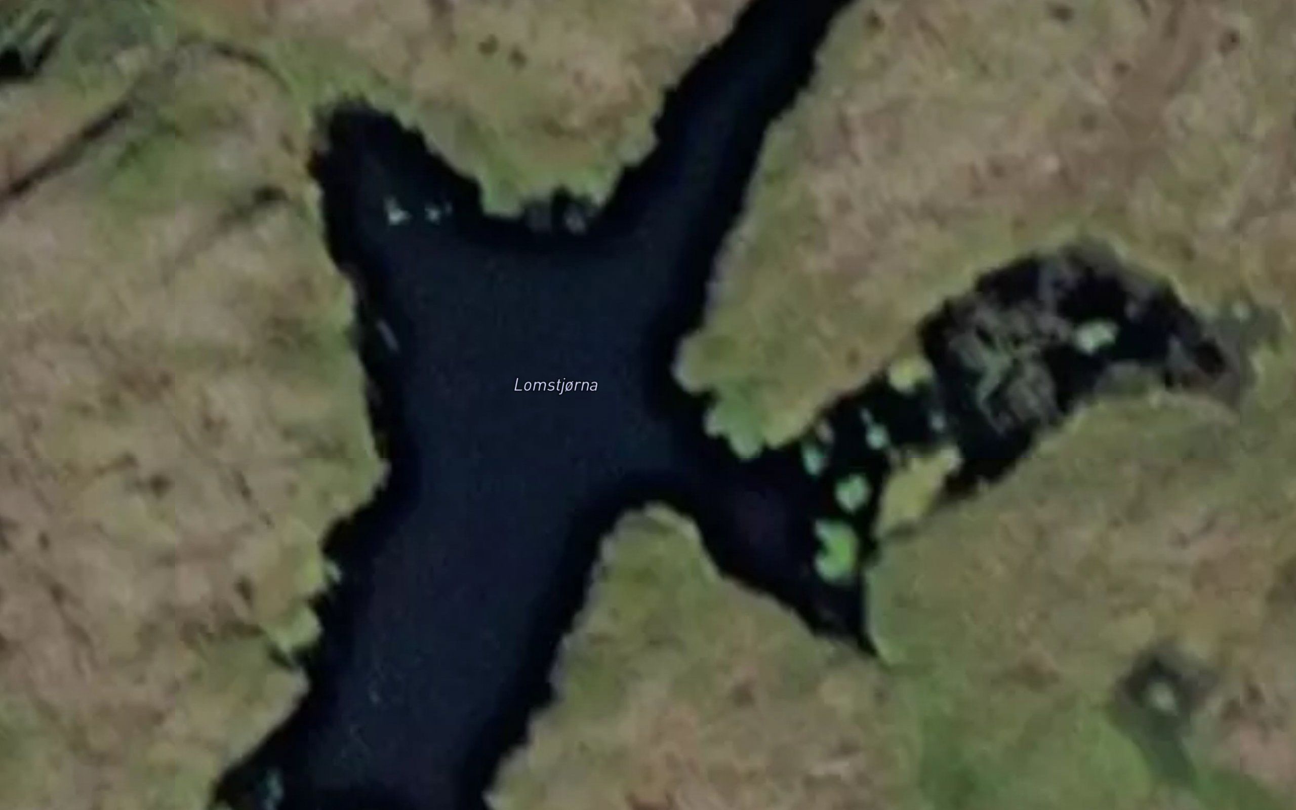Lomstjorna