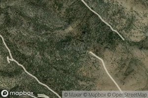 Goyeneche Spring Number Eleven