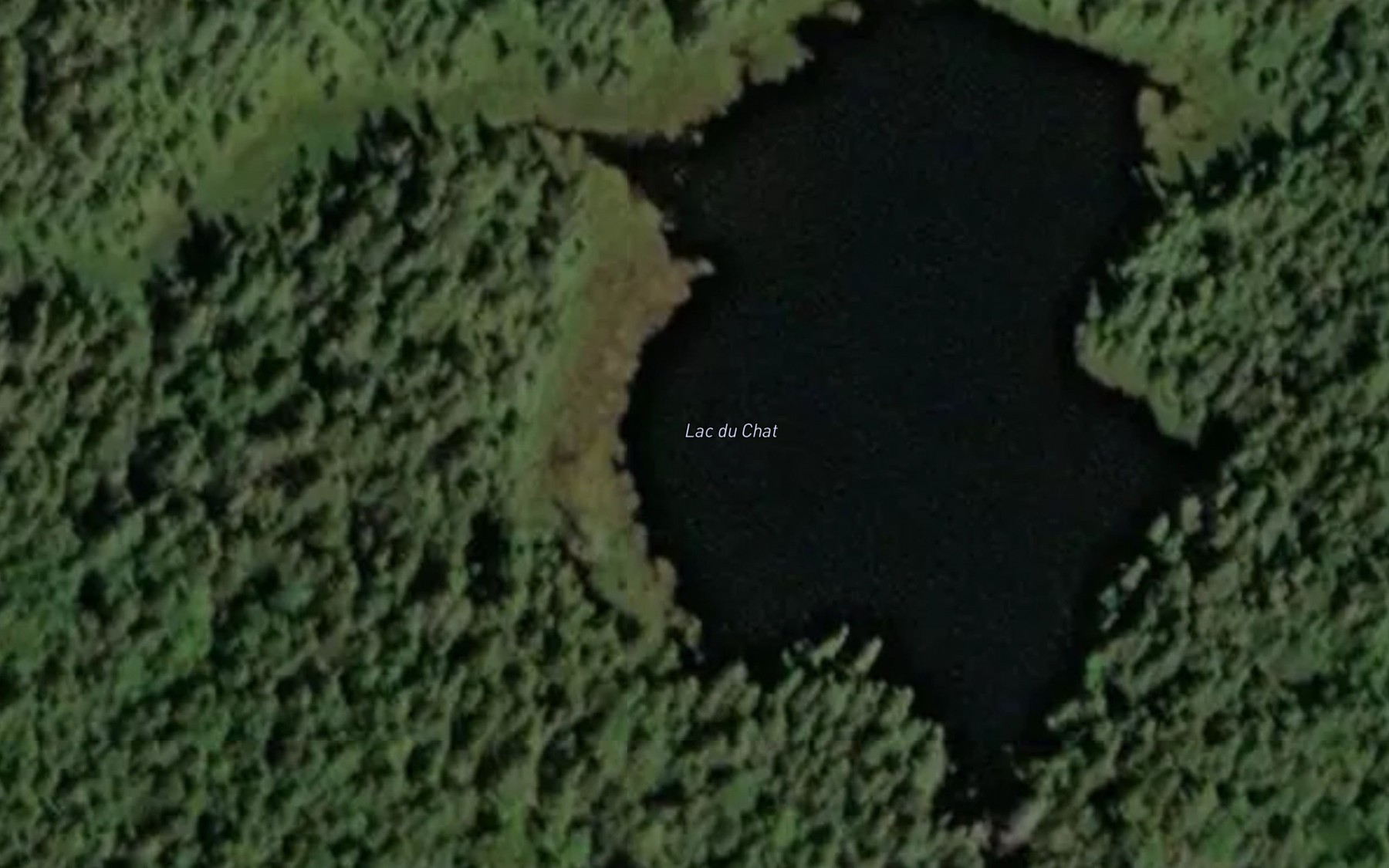 Satellite map of the Lac du Chat