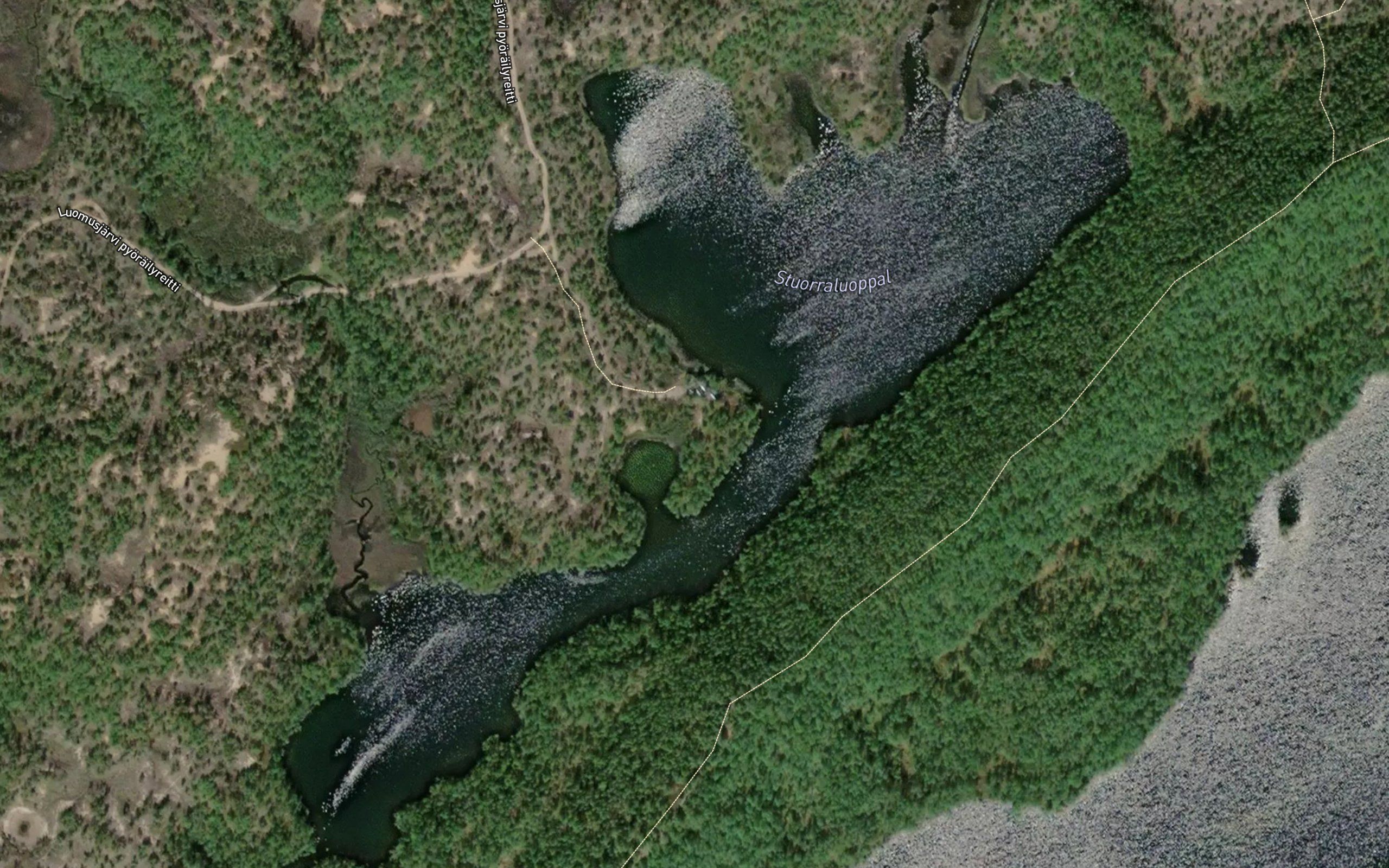 Stuorraluoppal