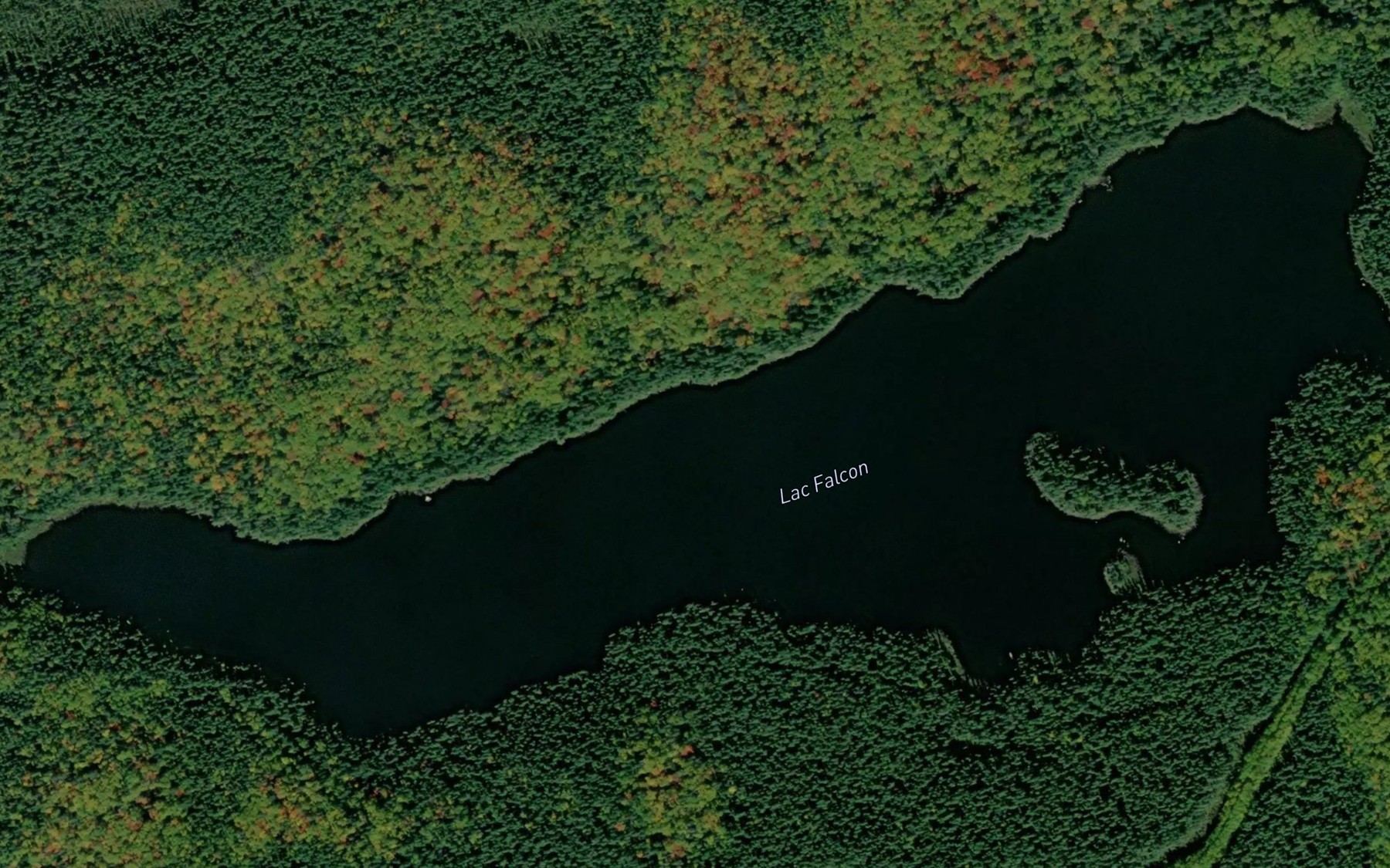 Satellite map of the Lac Falcon