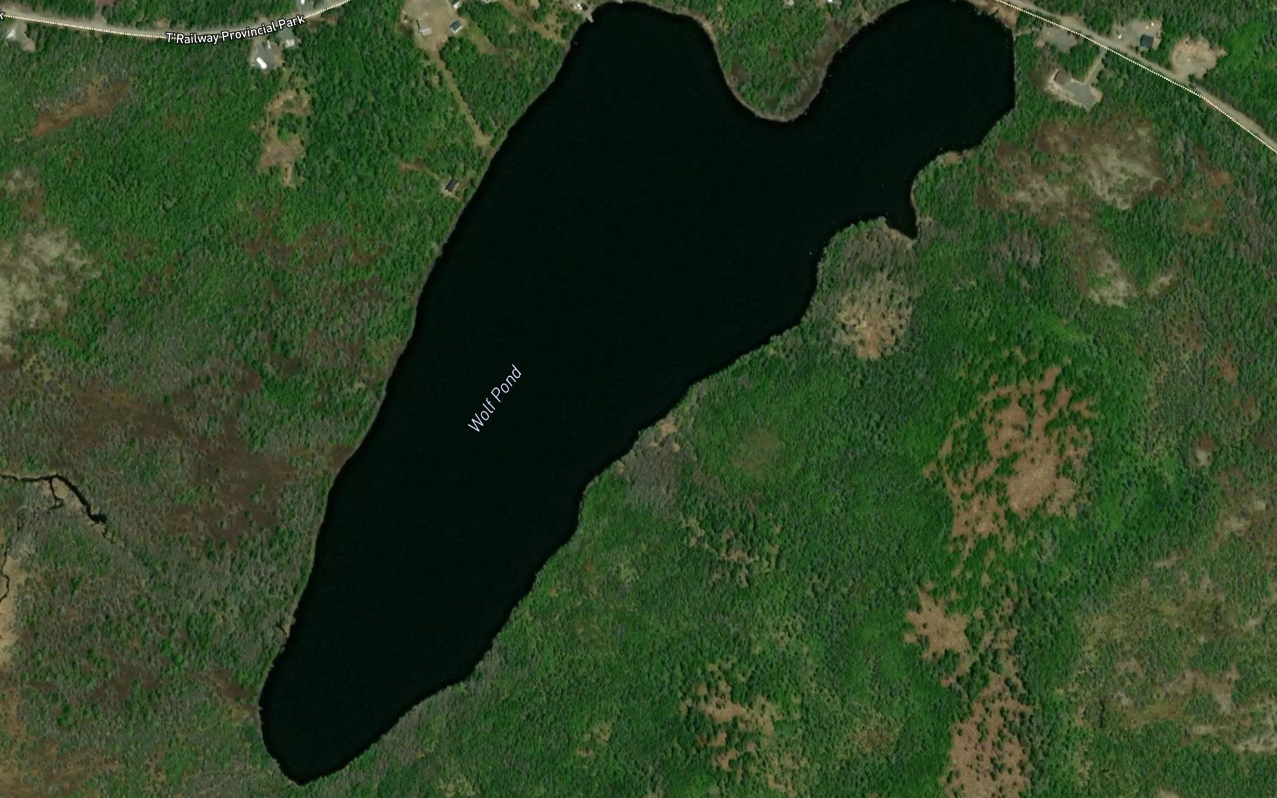Wolf Pond