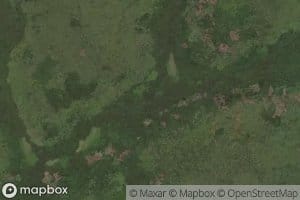 Roegu