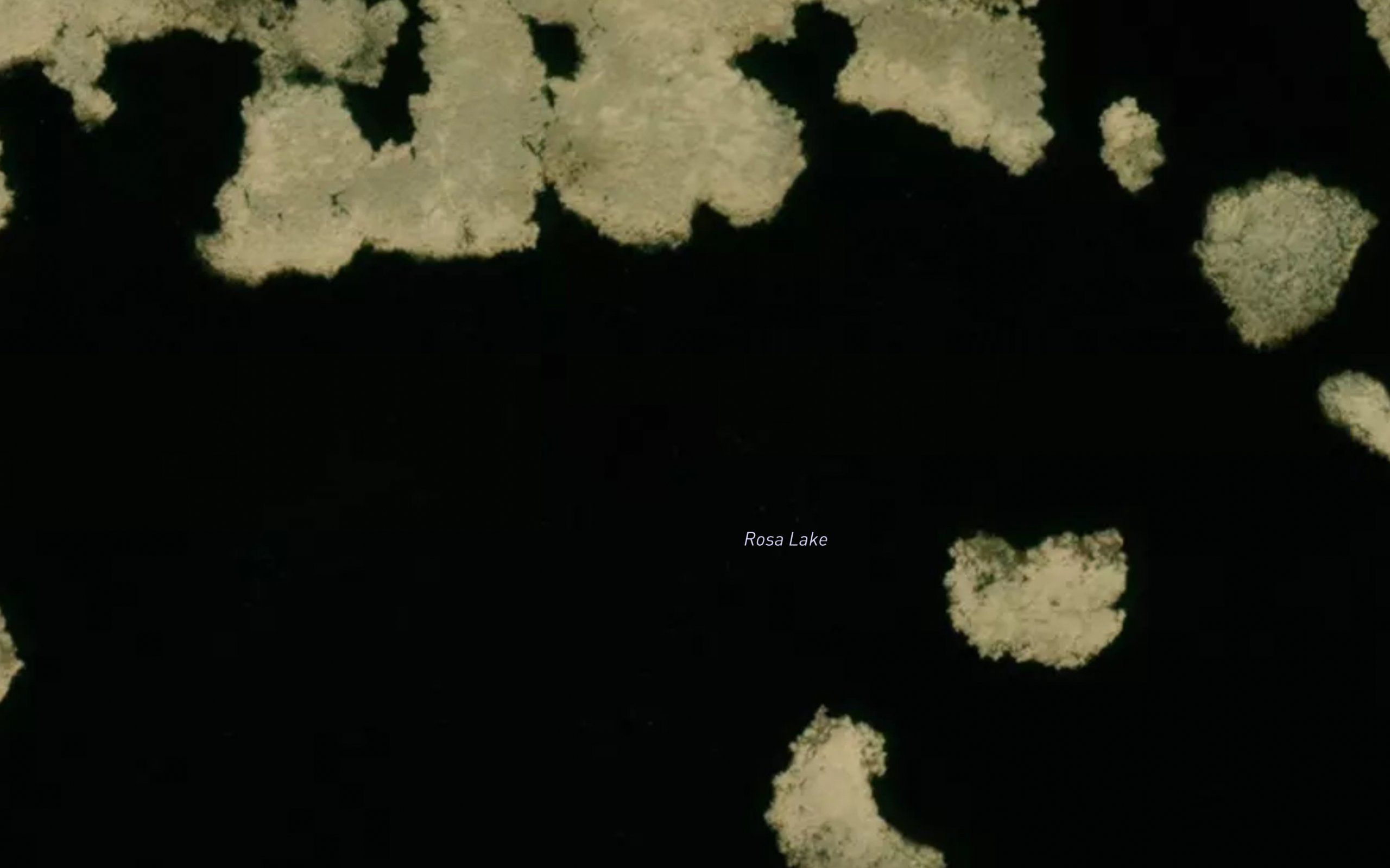Rosa Lake