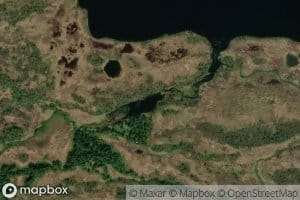 Leinssetertjonna