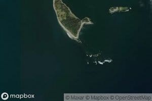 Hardwood Island Reef
