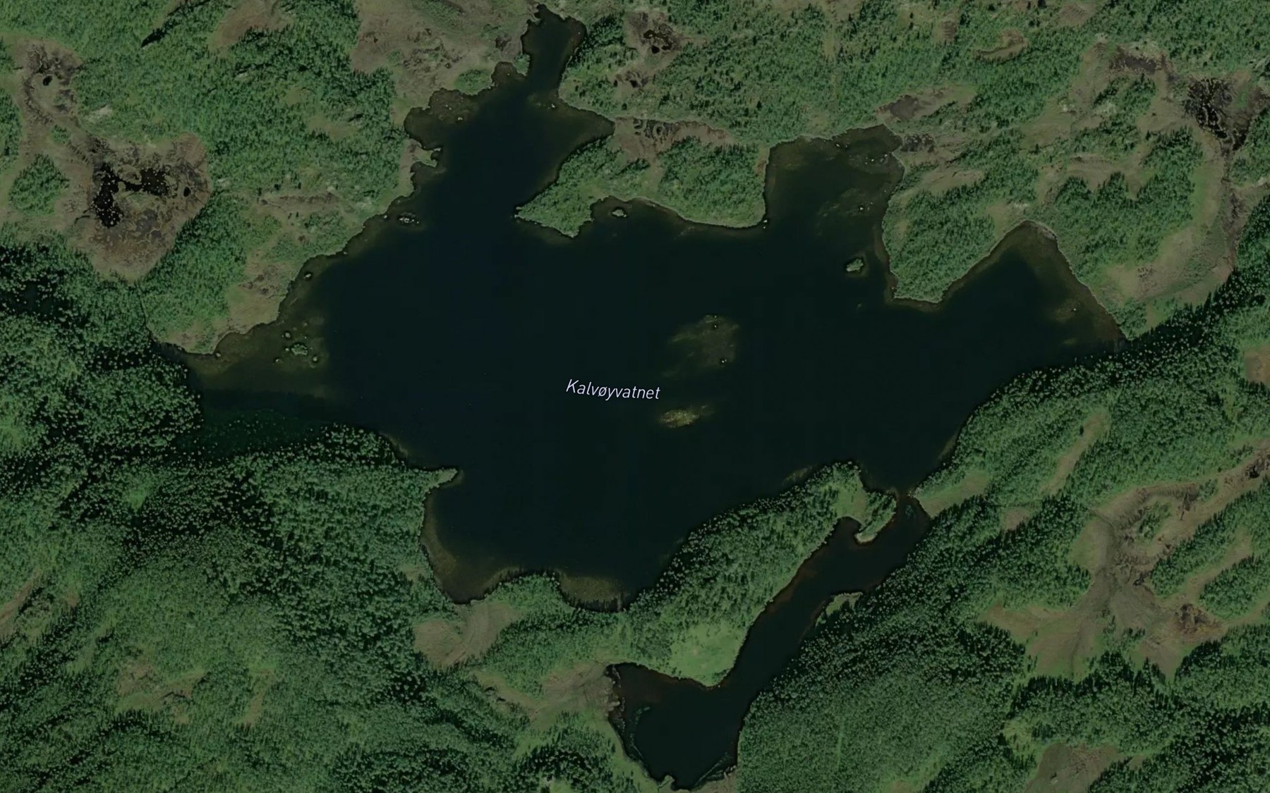 Satellite map of the Kalvoyvatnet