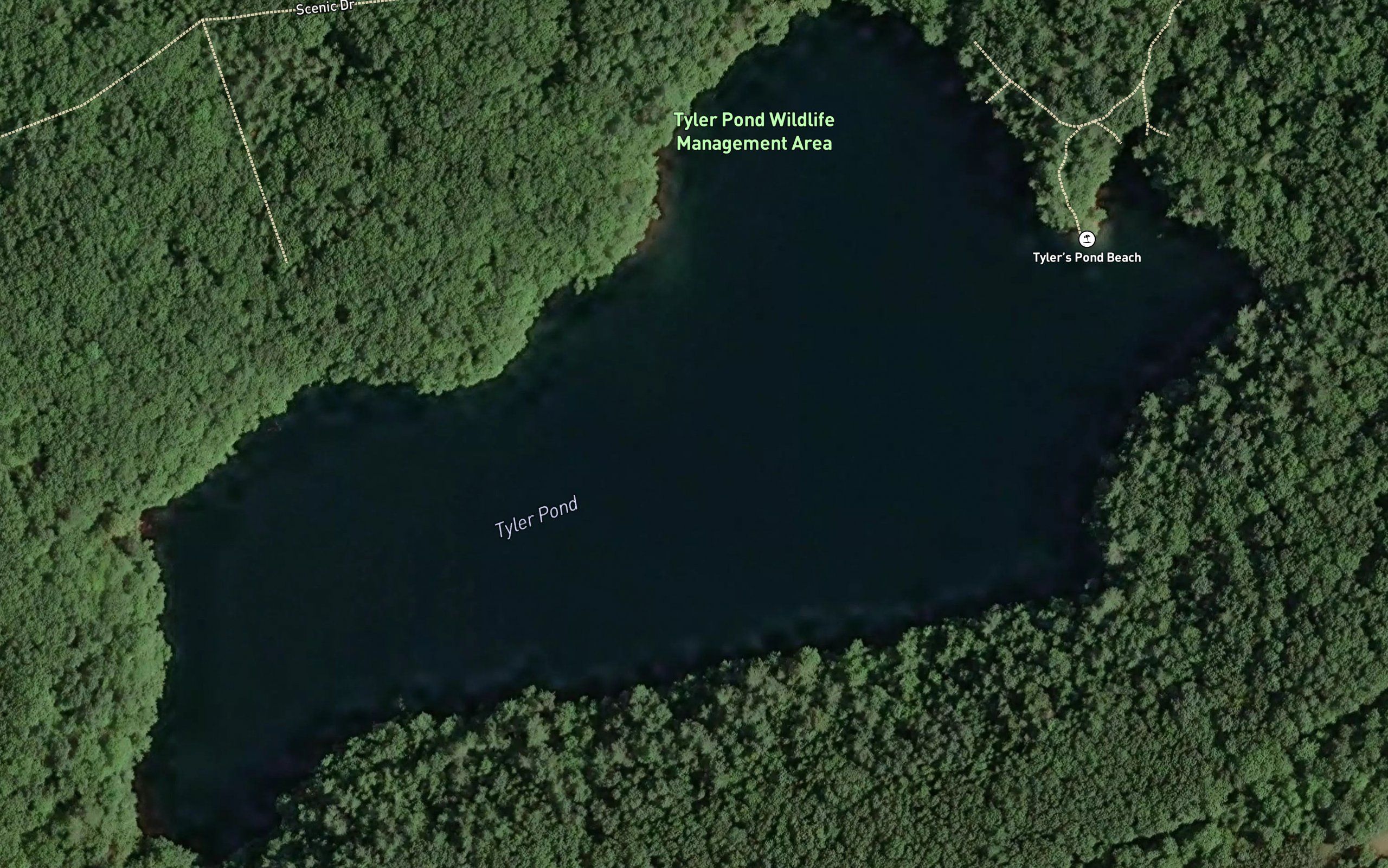 Tyler Pond
