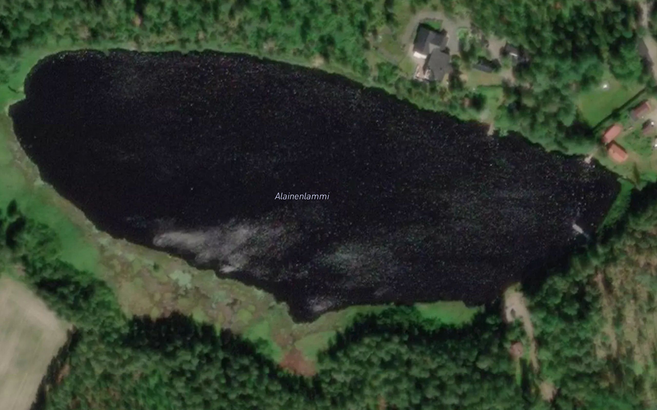 Alainenlammi