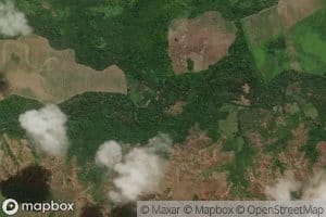 Morichal Cabecera de La Mata