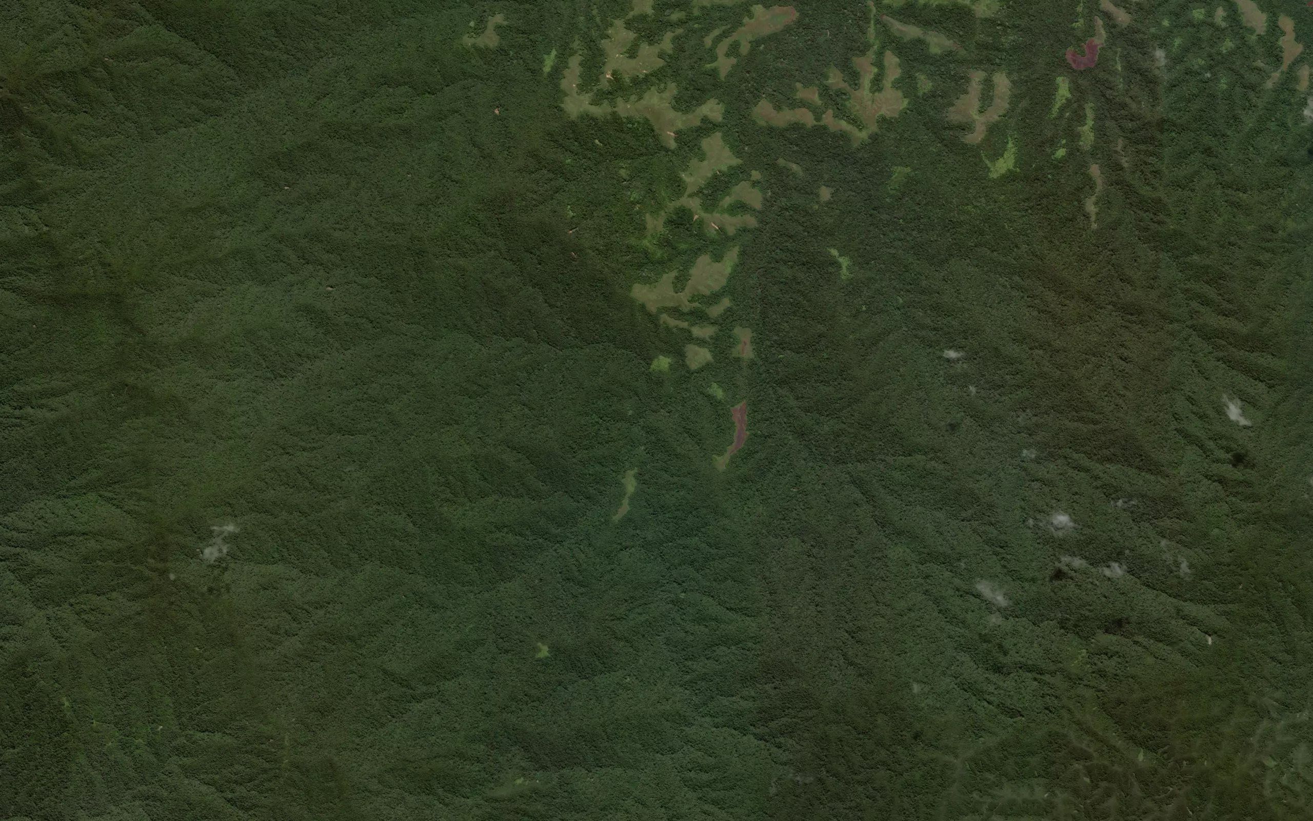 Halu Takala