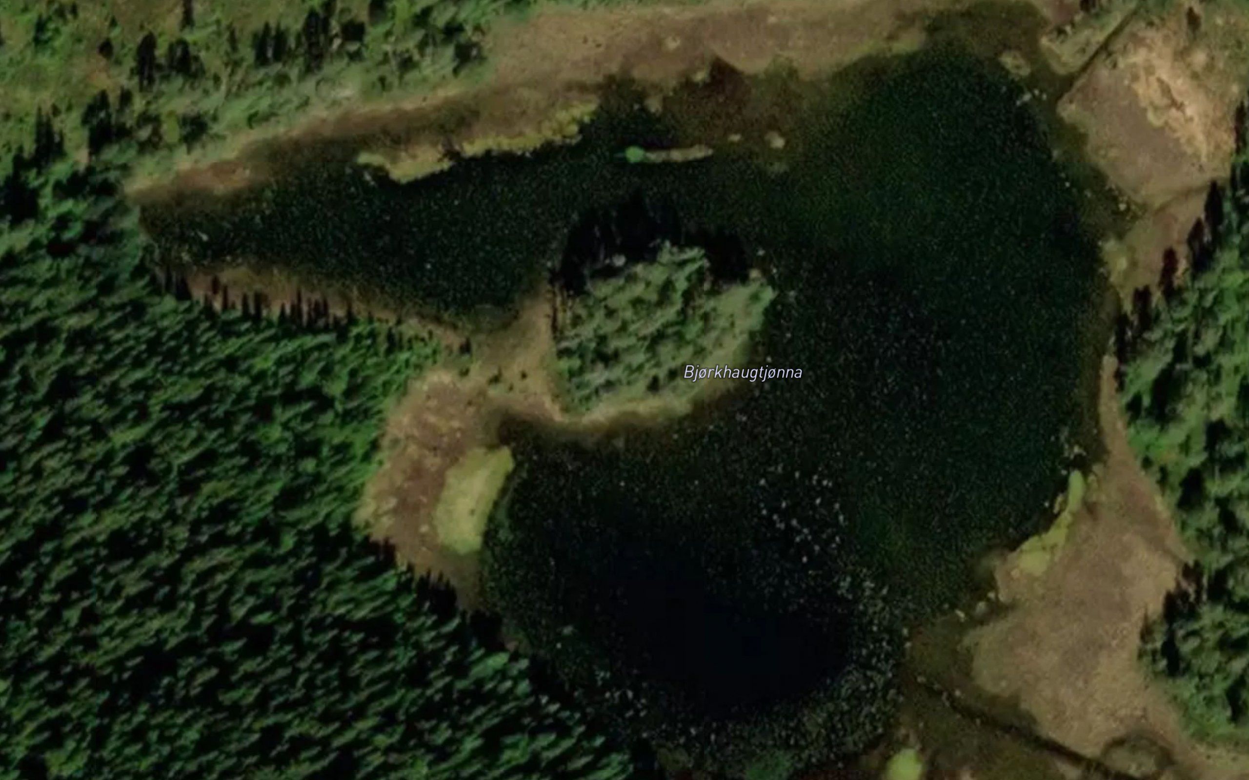 Bjorkhaugtjorna