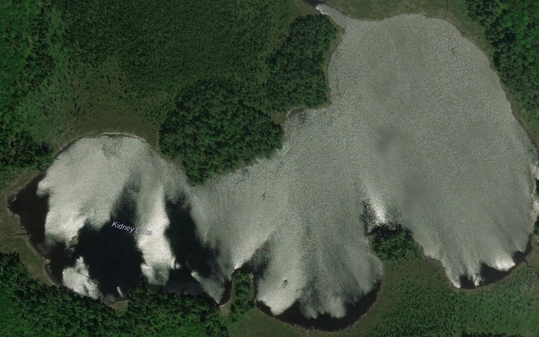 Satellite map of the Kidney Lake