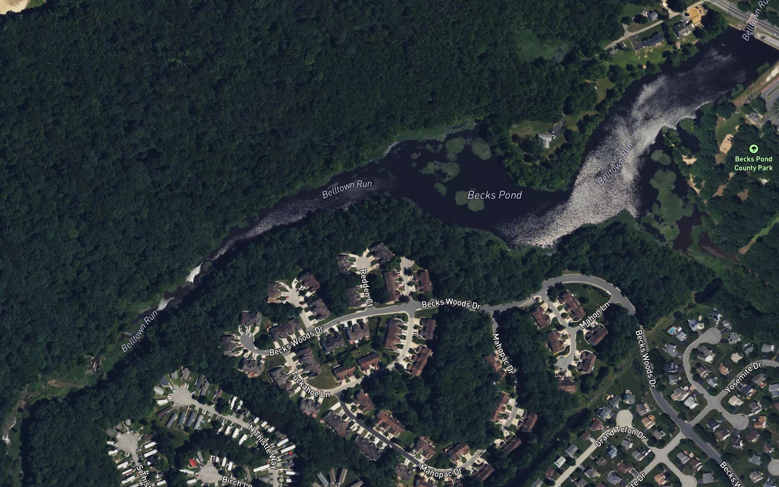 Becks Pond