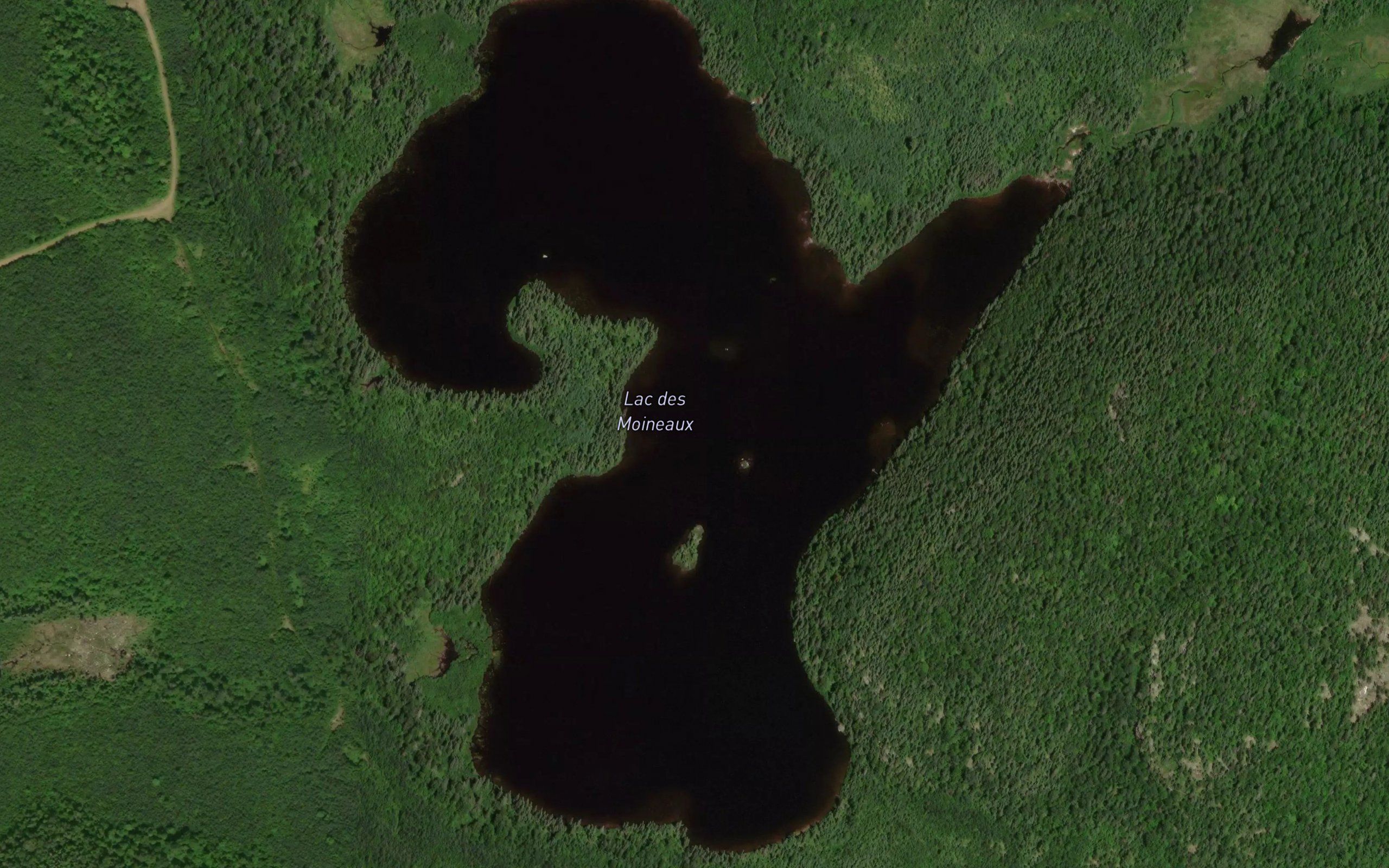 Lac des Moineaux