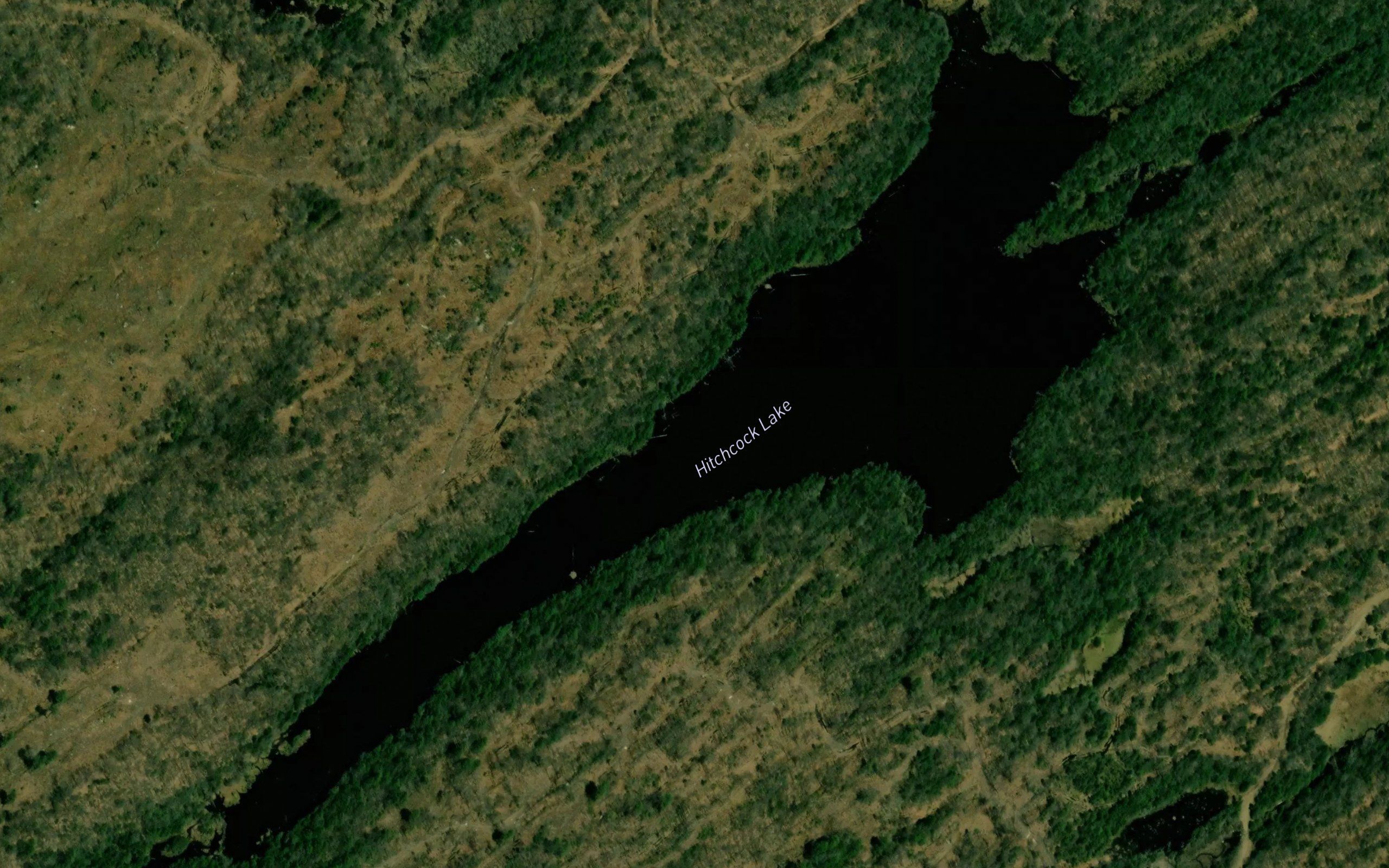 Hitchcock Lake
