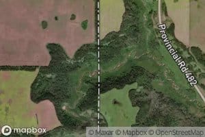Cupar Creek