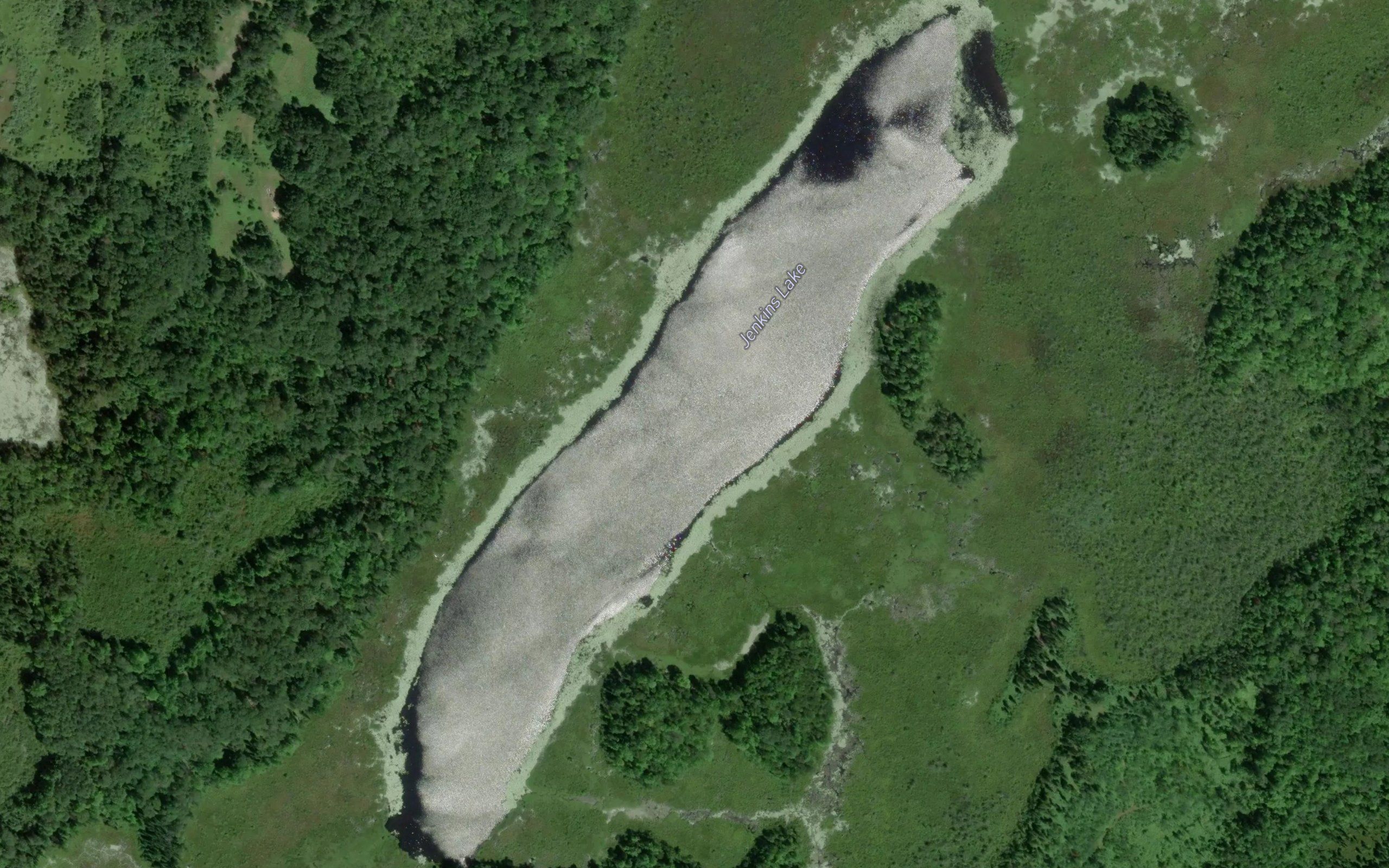 Jenkins Lake