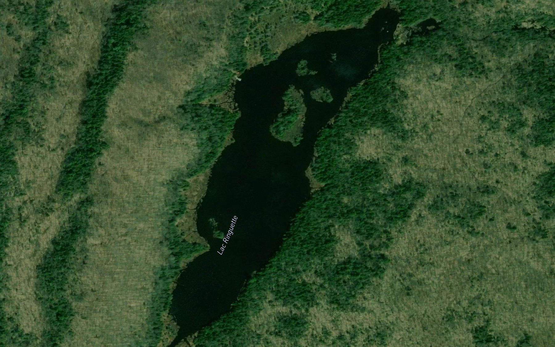 Satellite map of the Lac Ringuette