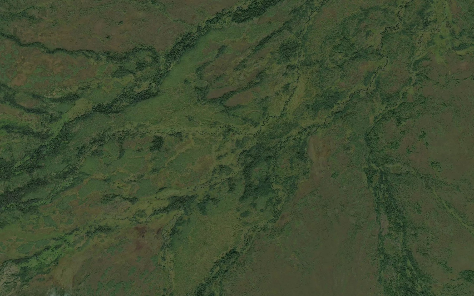Satellite map of the Bolotistyy
