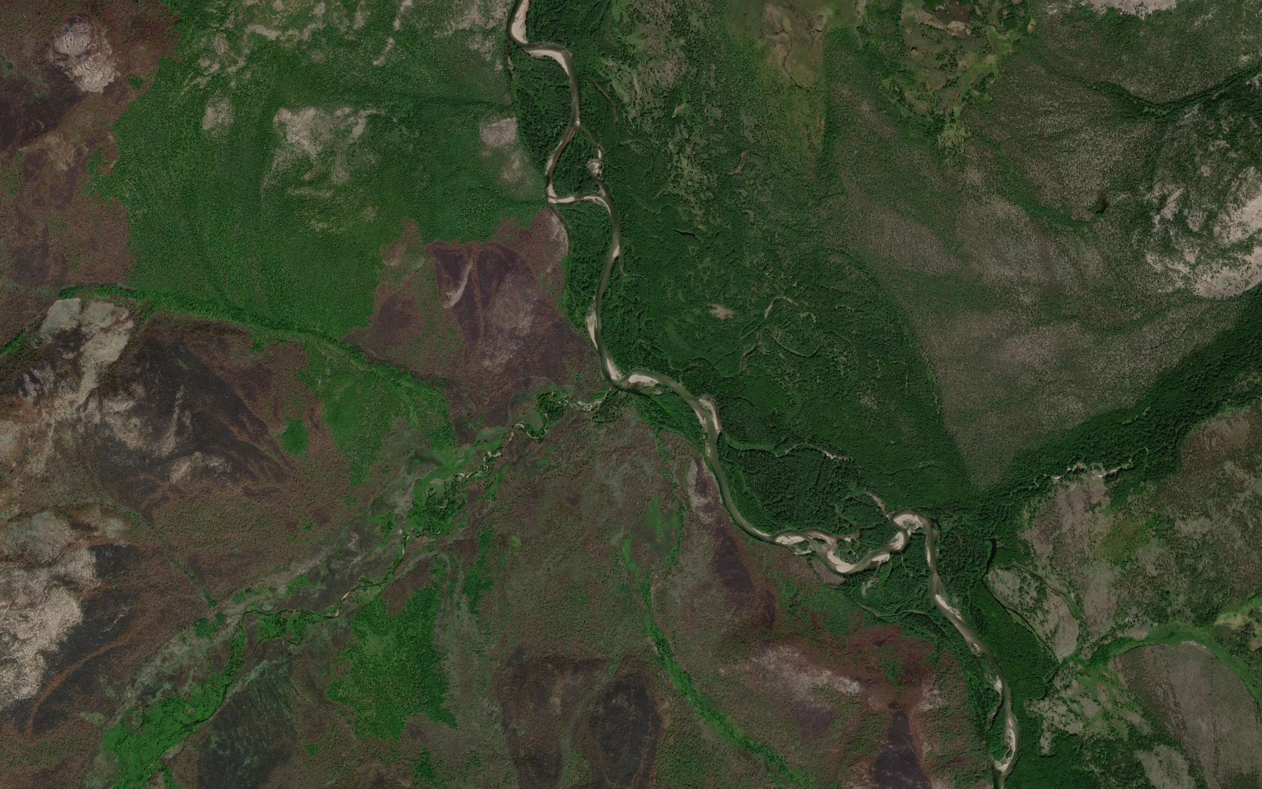 Medvezhiy