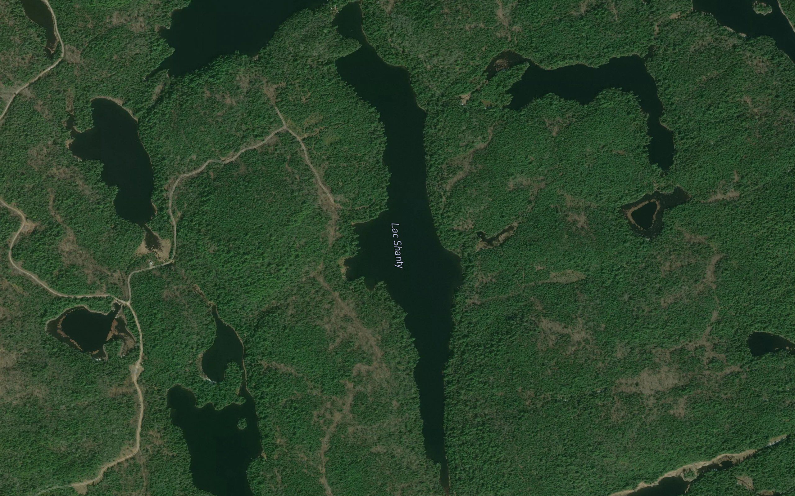 Lac Shanty