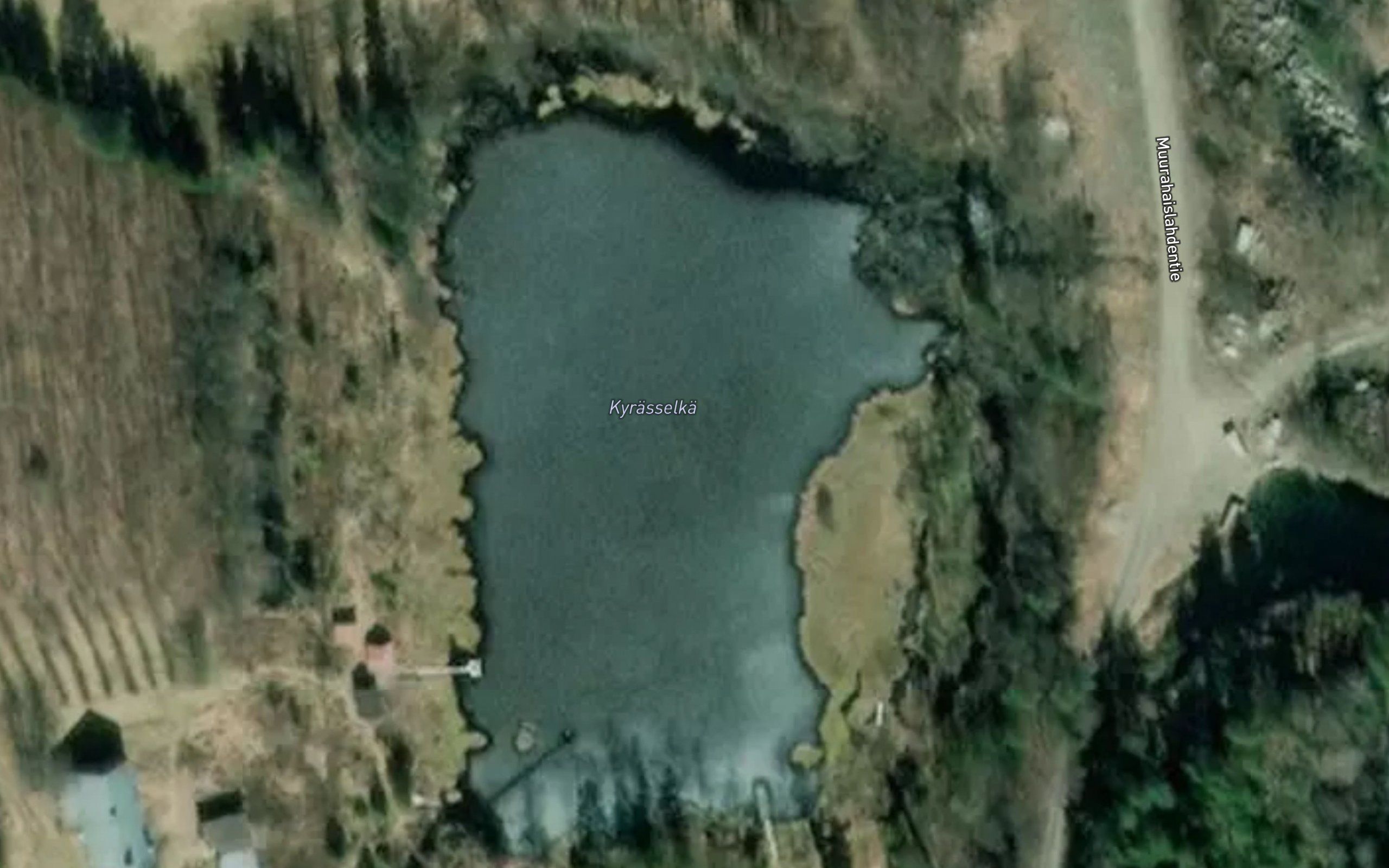 Kynasselka