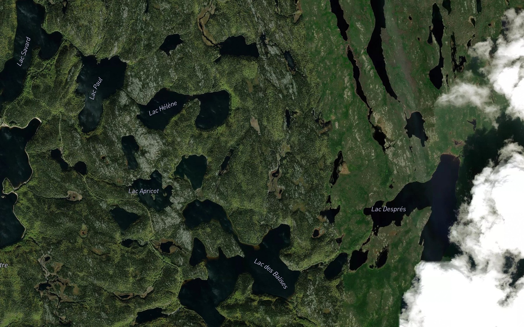 Satellite map of the Lac Lobster